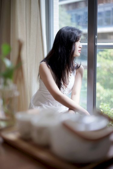 新安家族电视剧免费观看