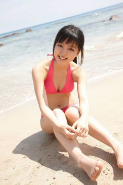 《追风者》电视剧免费观看